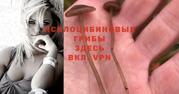 спиды Алексеевка
