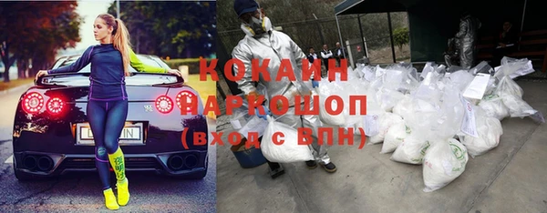 СК Алексин