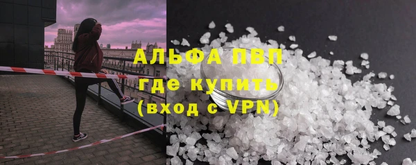 СК Алексин