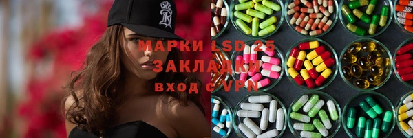 СК Алексин