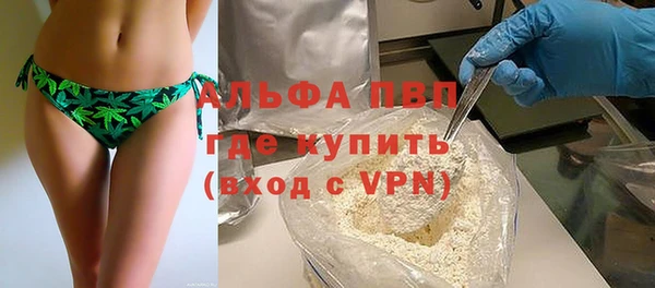 СК Алексин